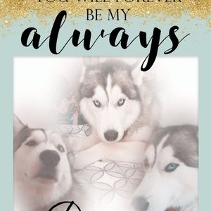 Meet your Posher, Sue